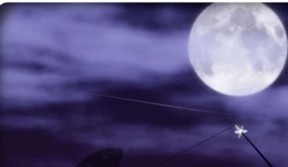 Fisch 🦈 💘VALENTINES Codes